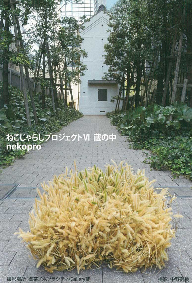 【終了】蔵の中 <ねこじゃらしプロジェクトVI>