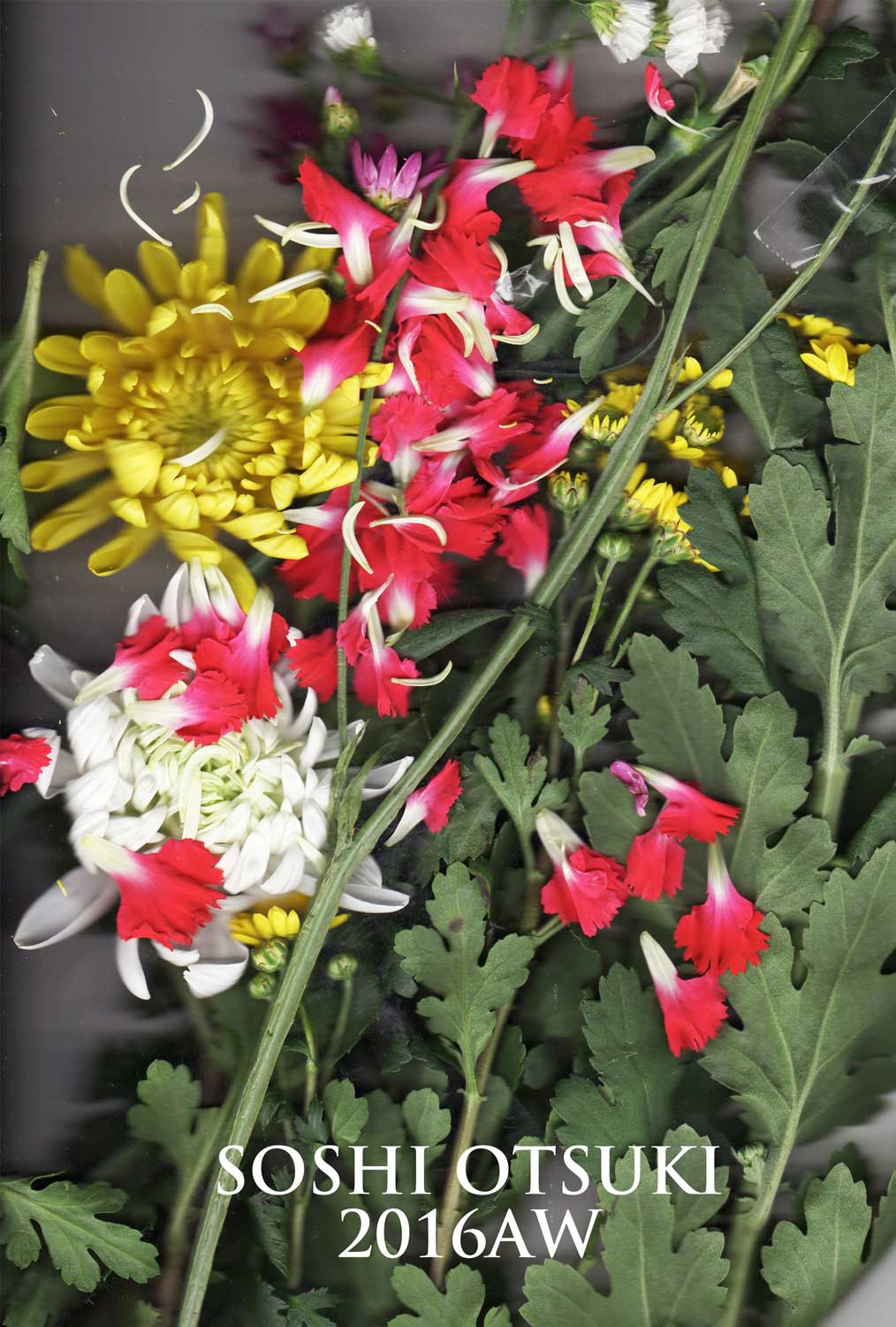 【終了】Soshi Otsuki 2016 AW showroom