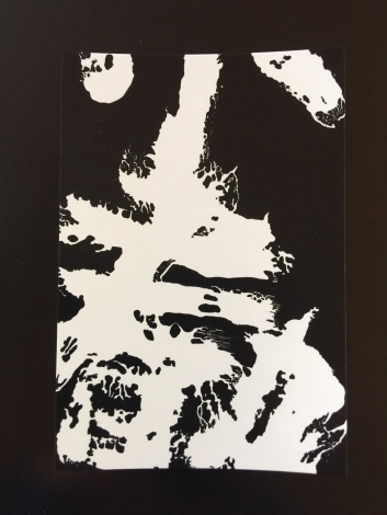 【終了】小春丸 いけばな展