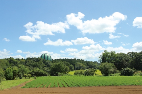 【終了】お茶ナビゲート x 御茶ノ水ソラシティ 岩﨑家ゆかりの地コラボ企画 第1弾！ 「馬のふるさと すいかの里 富里市物産展」 ＋まる弥カフェ、東洋文庫ミュージアム